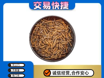红河州红河县高价回收散虫草